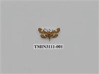 藏品(螟蛾204)的圖片